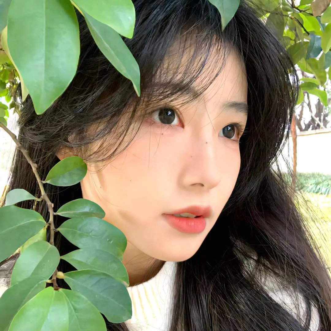 遥远的格桑花