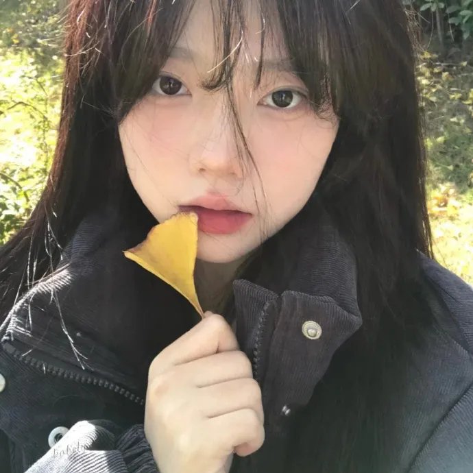 冬景